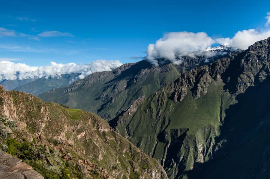 From Arequipa: Colca Canyon & La Calera Thermal Waters - Why the condor viewpoint is worth the long road
