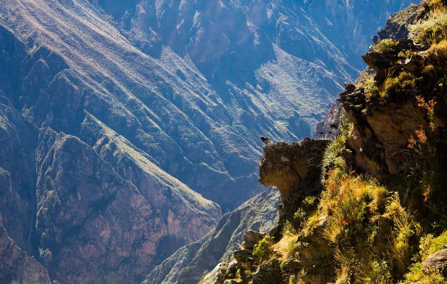 From Arequipa: Colca Valley & Thermal Baths Small-Group Trip - Why this day trip works for a short Arequipa visit
