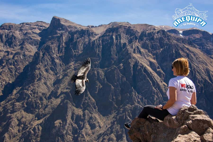 From Arequipa: Colca Valley & Thermal Baths Small-Group Trip - Patapampa at 4,910 meters