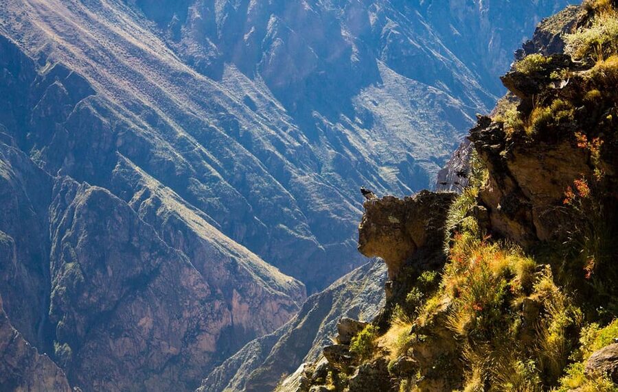 From Arequipa: Colca Valley & Thermal Baths Small-Group Trip - Chivay breakfast and the valley road