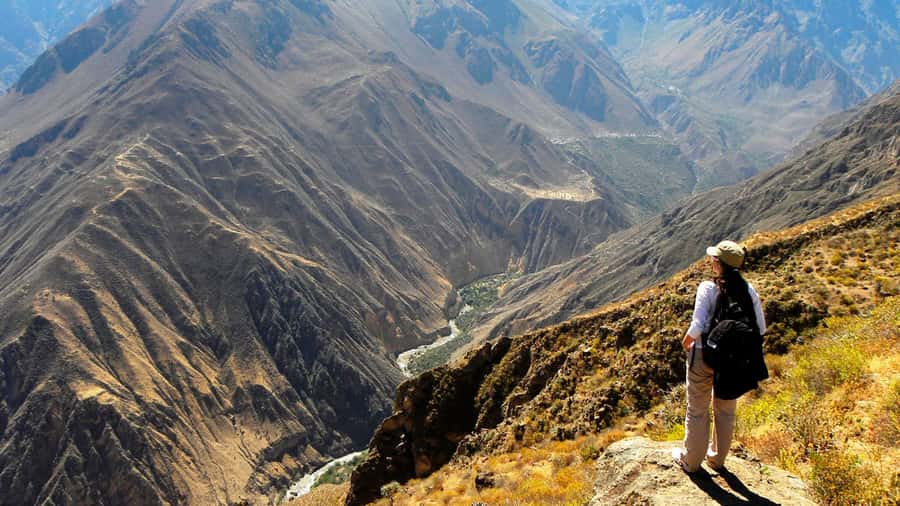 From Arequipa: Full Day Colca Canyon Tour - Key points to know before booking