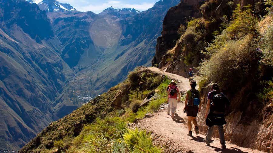 From Arequipa: Full Day Colca Canyon Tour - Cruz del Cóndor and the main canyon view