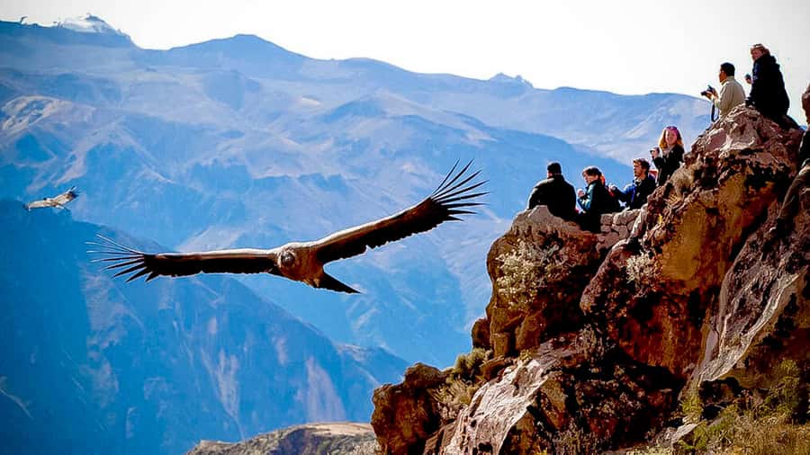 From Arequipa: Full Day Colca Canyon Tour - Small towns along the Colca Valley