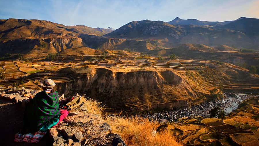 From Arequipa: Full Day Colca Canyon Tour - Vicuñas at Salinas and Aguada Blanca