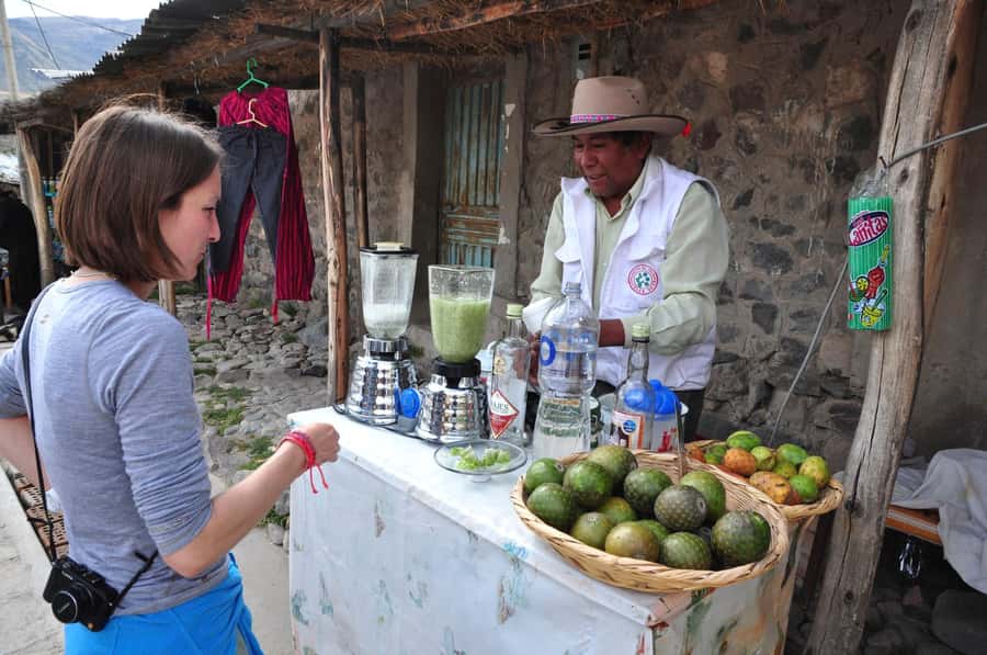 From Arequipa: Fullday Tour Colca Canyon + Transfer To Puno - Key points to know before booking