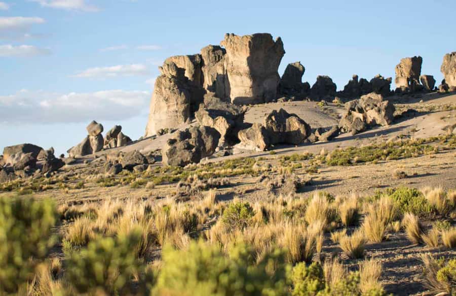 From Arequipa: Pillones Waterfall and Stone Forest Day Trip - Searching for vicuñas in Aguada Blanca National Reserve