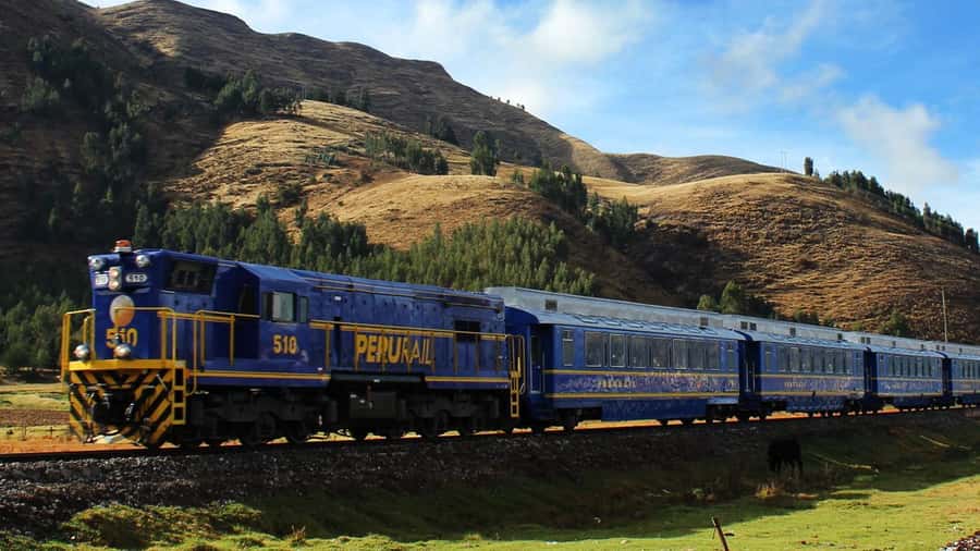 From Cusco: 1-day Machu Picchu Tour by Train - Key points to know before booking