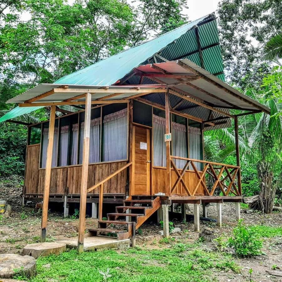 From Cusco: Amazon jungle for two days with sleeper bus and private lodge - Communication is the main weakness