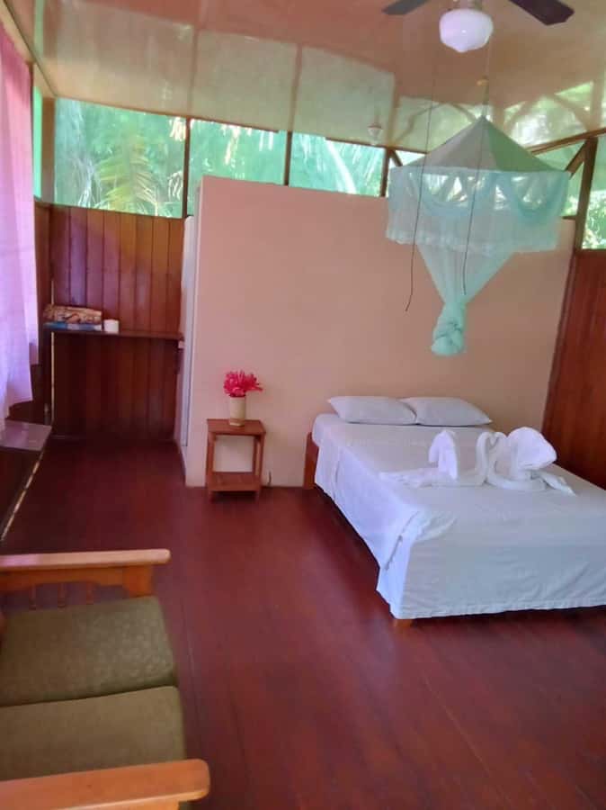 From Cusco: Amazon jungle for two days with sleeper bus and private lodge - Who should book this Amazon trip