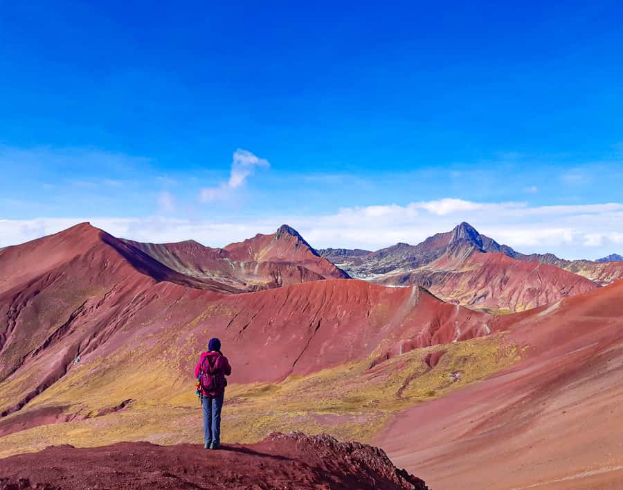 From Cusco: Full Day Rainbow Mountain + Red Valley | PRIVATE - What the private price of $149 really buys