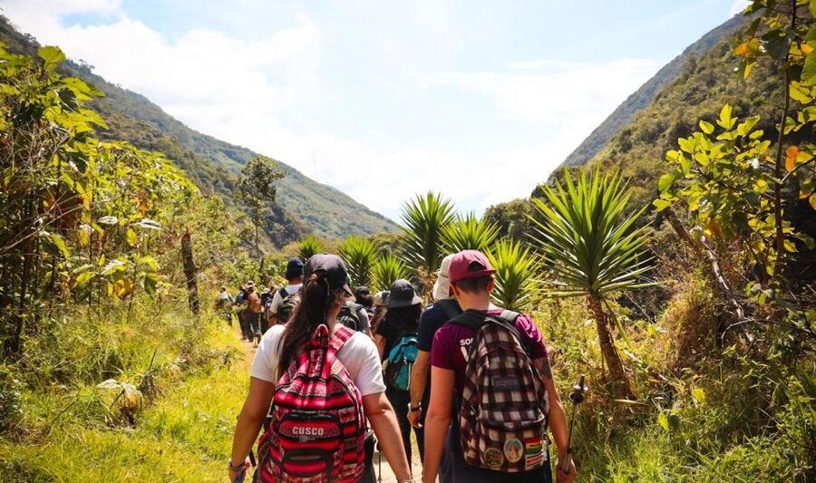 From Cusco: Full-Day Round-Trip Train Tour to Machu Picchu - Who should book this full-day train tour?