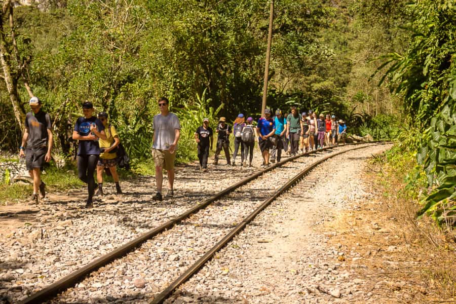 From Cusco: Full-Day Round-Trip Train Tour to Machu Picchu - Choosing the 4:00, 6:00, or 8:00 a.m. departure