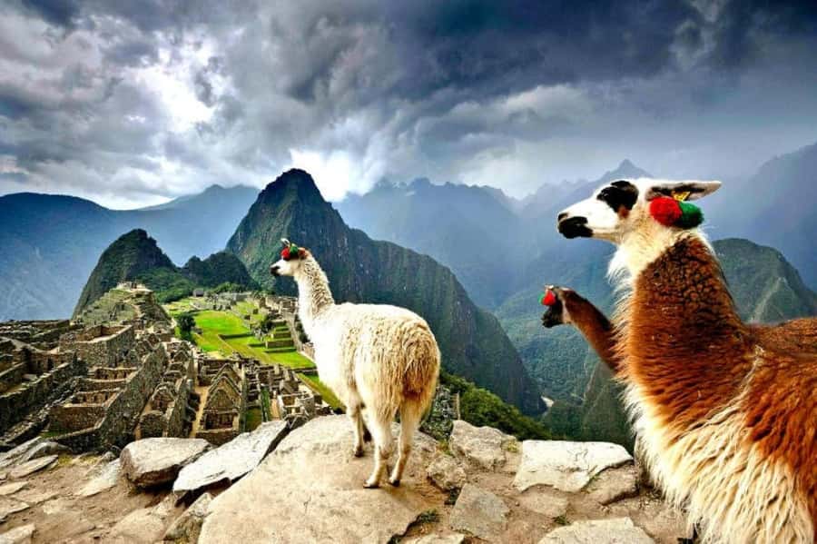 From Cusco:MachuPicchu Excursion 1 day plus Ticket and Train - A long day built around Machu Picchu