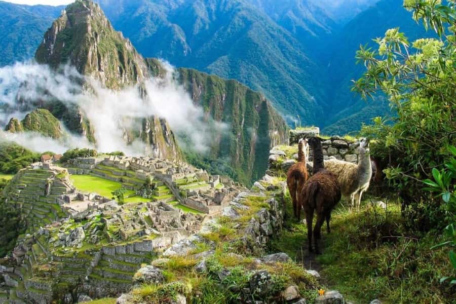 From Cusco:MachuPicchu Excursion 1 day plus Ticket and Train - Meeting in historic Cusco