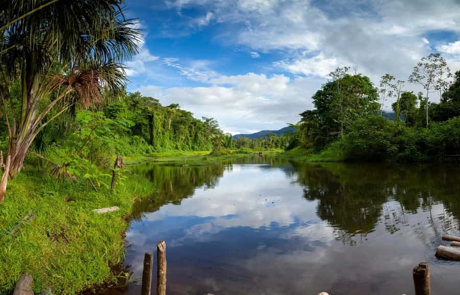 From Cusco: Manu National Park Tour & Accommodation 3 Days - Food, comfort, and the real value of three days