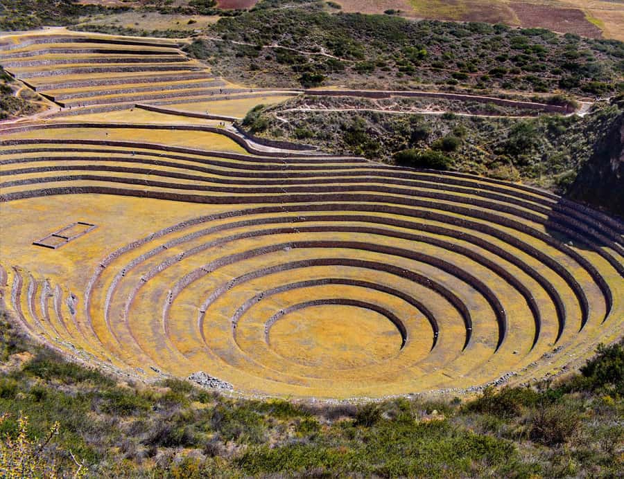 From Cusco: Moray, Maras Salt Mines & Chinchero Weavers Tour - What the guides add to the day
