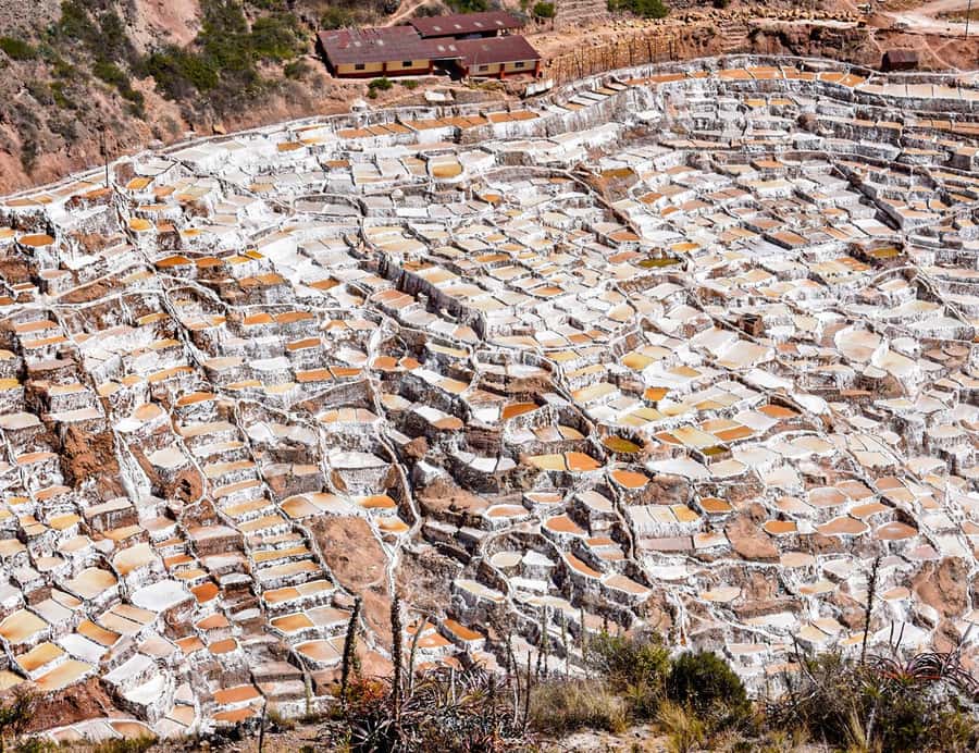 From Cusco: Moray, Maras Salt Mines & Chinchero Weavers Tour - Transport, timing, and the real cost