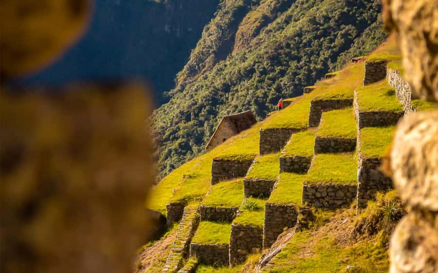 From Cusco: One-Day Round Trip to Machu Picchu by Train - Free time, photographs, and the return to Cusco