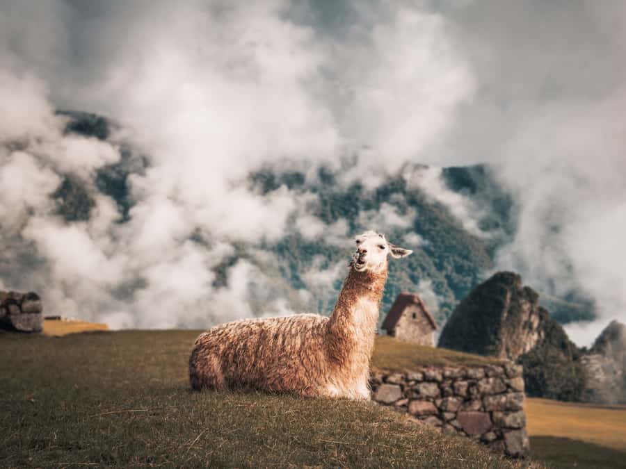 From Cusco: Sacred Valley & Machu Picchu 2-Day Tour by Train - Urubamba provides a generous lunch break