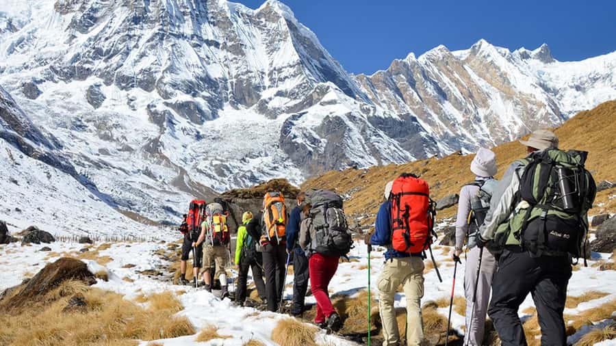 From Cusco: Salkantay trek 5 days/4 nights meals included - Guide quality and group size