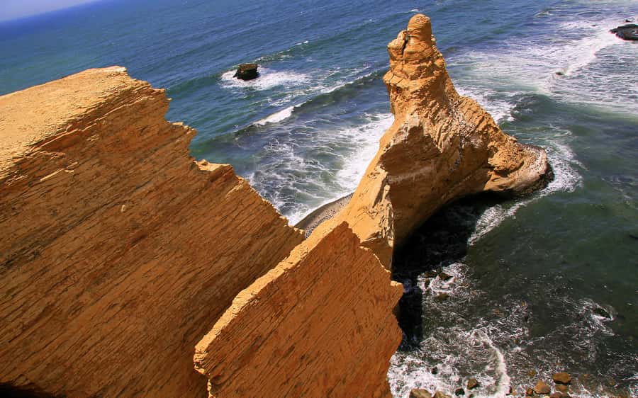 From Huacachina: Ballestas and Paracas Reserve - GROUP TOUR - Key points at a glance