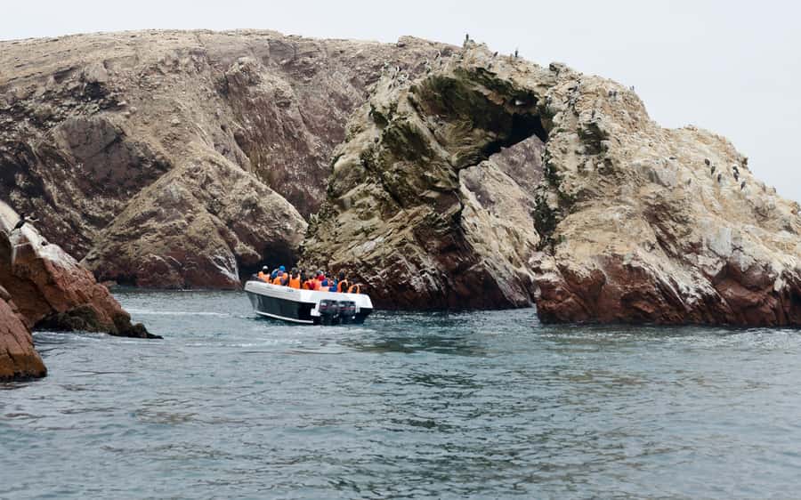 From Huacachina: Ballestas and Paracas Reserve - GROUP TOUR - Paracas National Reserve: red sand, cliffs, and salt