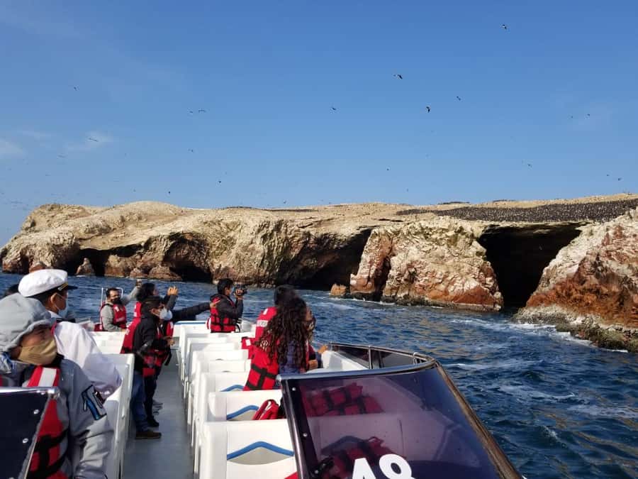 From Huacachina: Ballestas and Paracas Reserve - GROUP TOUR - Group size, guiding, and the risk of delays
