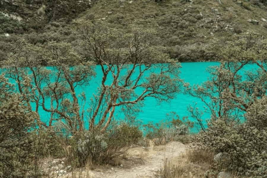 From Huaraz: Tour to Llanganuco Lakes (Chinancocha Lake) - The lake visit is short but visually strong