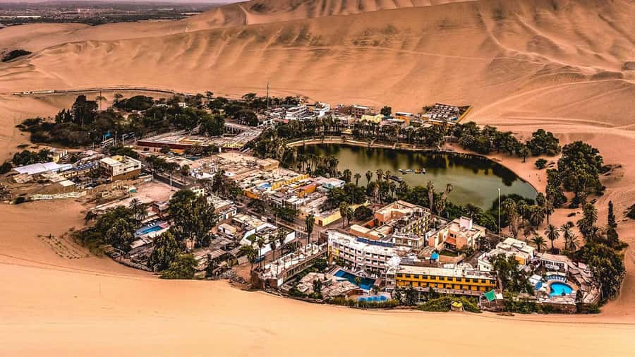 From Ica | Buggy excursion through the Huacachina Desert - Key points to know before booking