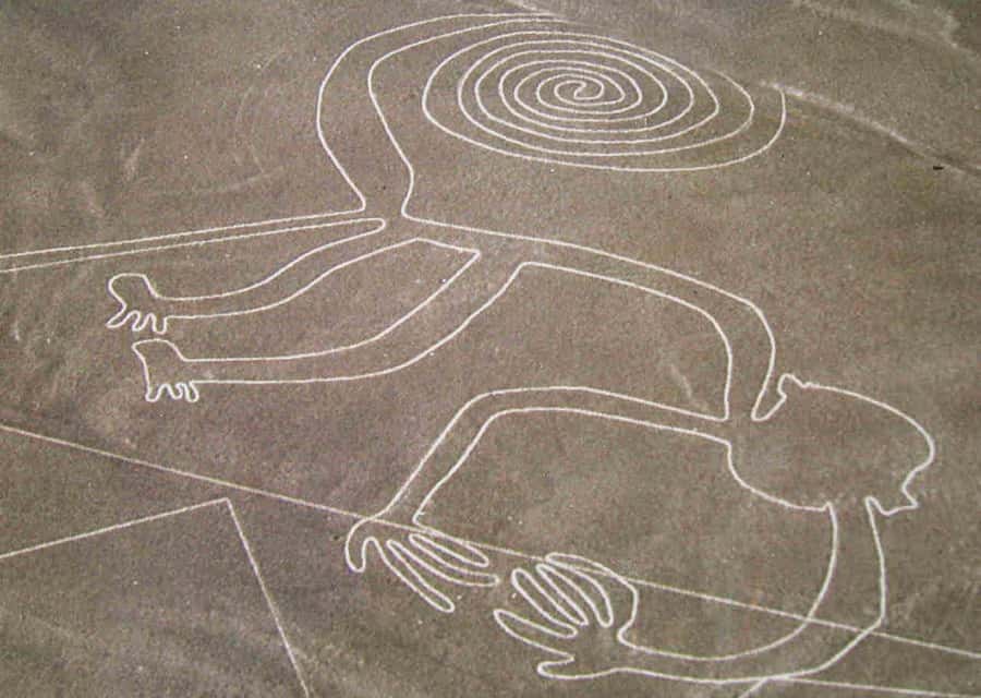 From Ica: Flight over the Nazca Lines - Leaving Ica at 6:30 am