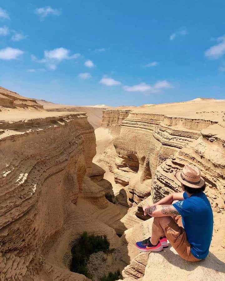 From Ica | Huacachina : Canyon de Los Perdidos | Full Day - Is $49 a fair price?