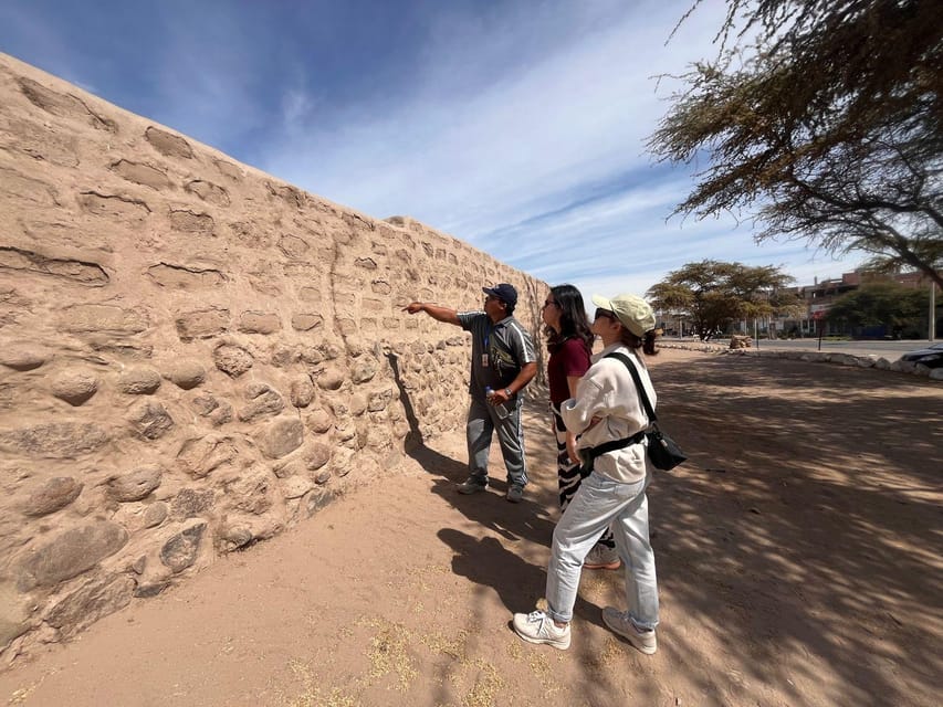 From Ica or Huacachina: Day Trip to Nazca - Seeing the tree, lizard, and frog from the Panamericana Sur