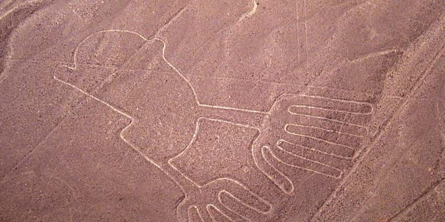 From Ica or Huacachina: Flight Tour Nazca Lines | Overflight - Who Will Enjoy This Trip Most