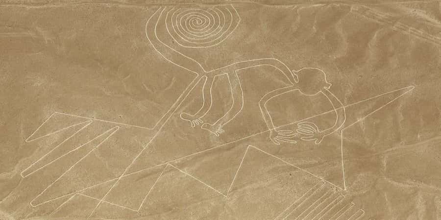 From Ica or Huacachina: Flight Tour Nazca Lines | Overflight - Checking In at María Reiche Aerodrome
