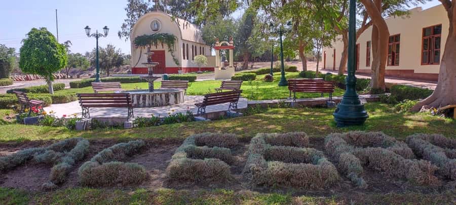 From Ica or Huacachina: Tour to Tacama Vineyard and Artisanal Winery. - Key points to know before booking
