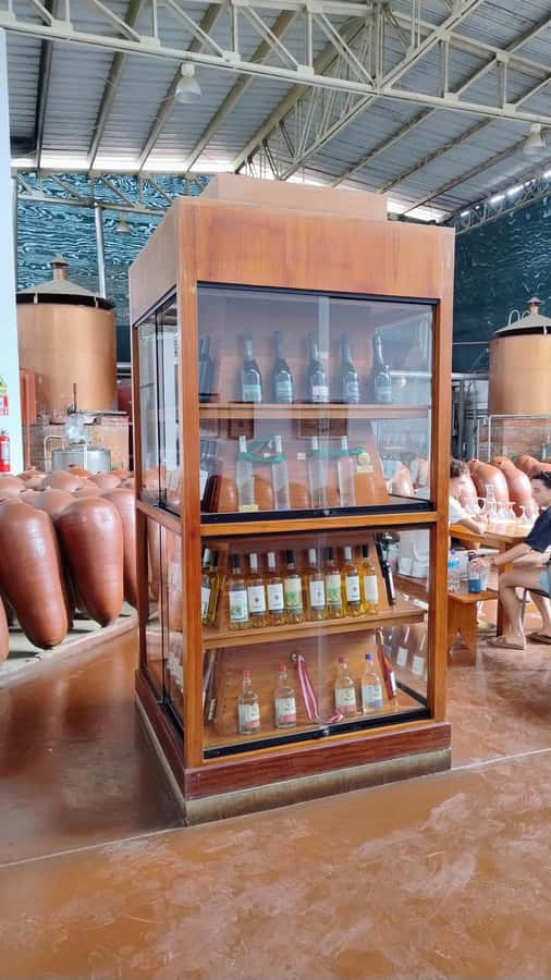 From Ica or Huacachina: Tour to Tacama Vineyard and Artisanal Winery. - Lunch with Ica flavors, at your own cost