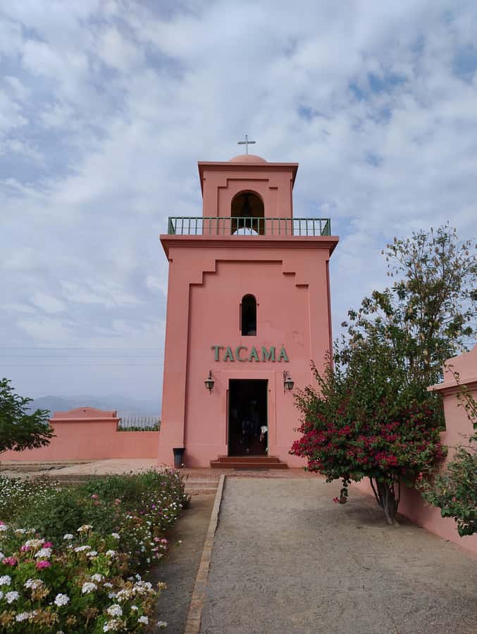 From Ica or Huacachina: Tour to Tacama Vineyard and Artisanal Winery. - Timing, transport, and what to bring