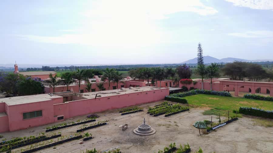 From Ica or Huacachina: Tour to Tacama Vineyard and Artisanal Winery. - Who will enjoy this Pisco Route most