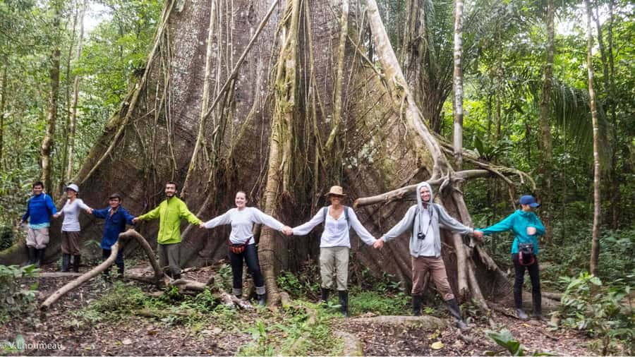 From Iquitos: Full day tour in the Peruvian jungle - A full Amazon day from Iquitos