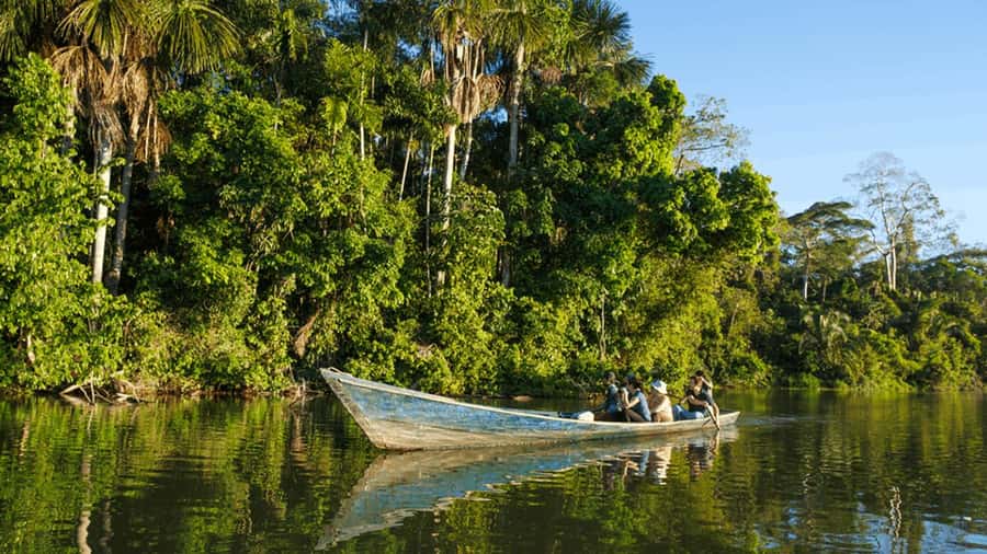 From Iquitos: Full day tour in the Peruvian jungle - Victoria Regia lilies and Amazon fish