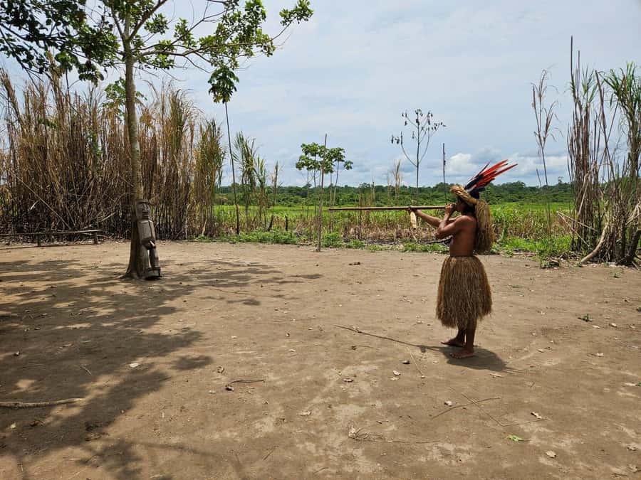 From Iquitos: Full day tour in the Peruvian jungle - A rescue center with macaws, monkeys, and sloths