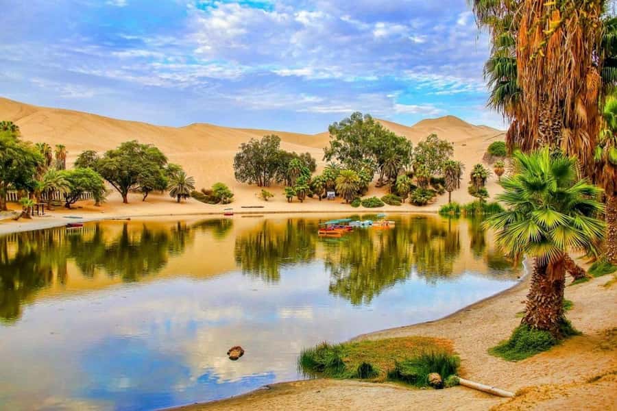 From Lima: 2 Days to Paracas & Huacachina | 2 Days/1 Night - Getting Back to Lima