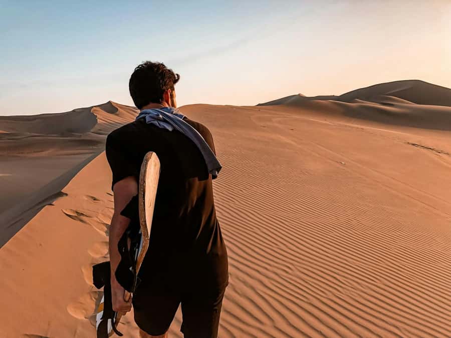 From Lima: 2 Days to Paracas & Huacachina | 2 Days/1 Night - The Transfer to Ica and a Taste of Pisco Country
