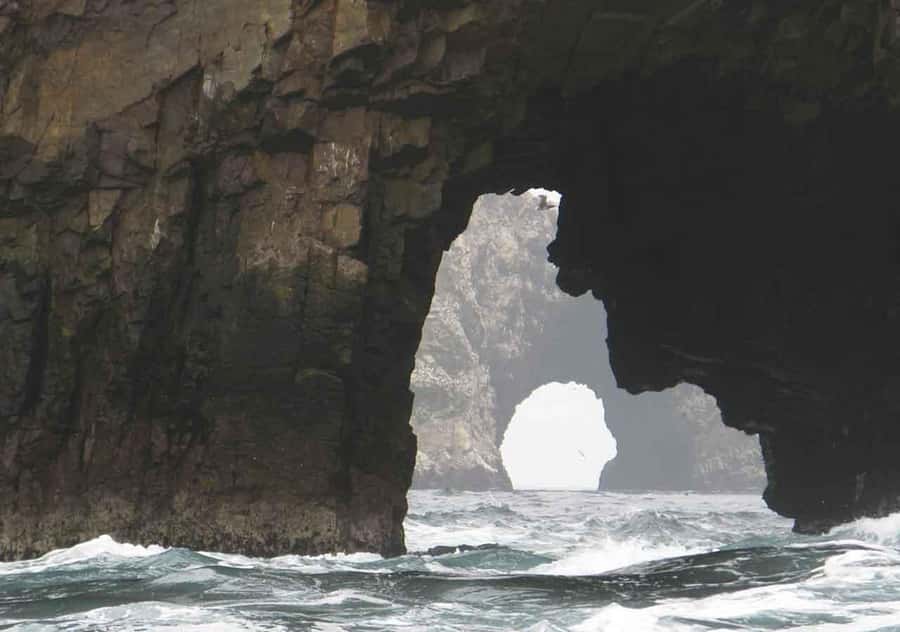 From Lima: Ballestas Islands and Huacachina Sunset Day Trip - Dune buggy and beginner sandboarding