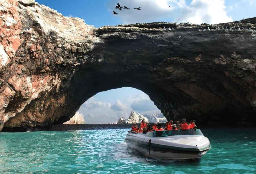 From Lima: Ballestas Islands and Huacachina Sunset Day Trip - 4 a.m. at Ibis Larco Miraflores