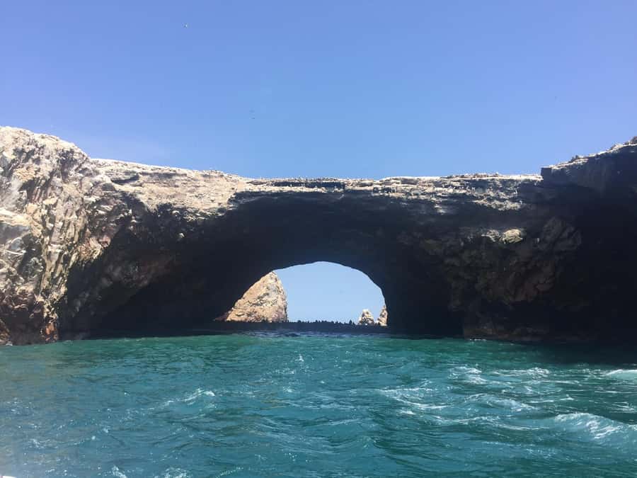 From Lima: Ballestas Islands, Huacachina, and Vineyard Tour - Pisco country and the winery visit