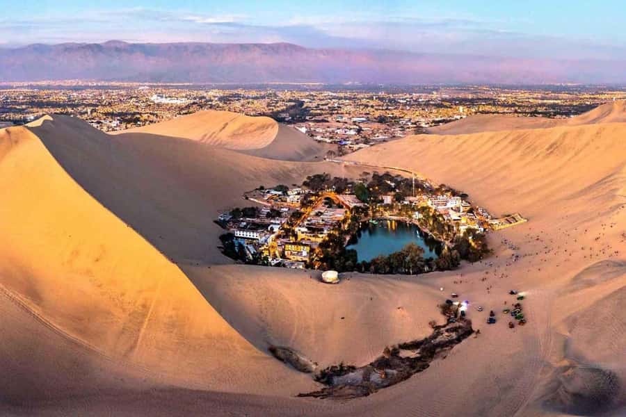 From Lima: Ballestas Islands, Huacachina and Wine Route Trip - Lunch, Ica wine, and pisco