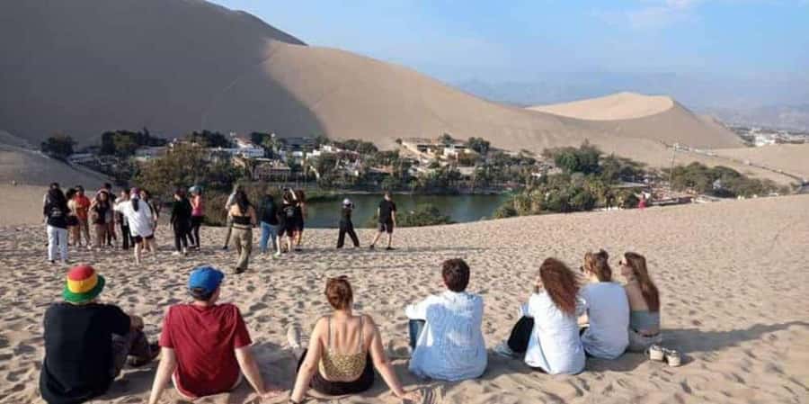 From Lima: Ballestas Islands, Huacachina and Wine Route Trip - Cruising around the Ballestas Islands