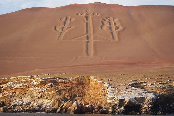 From Lima: Ballestas, Nazca Lines & Huacachina Oasis - Ballestas Islands: wildlife from a shared boat