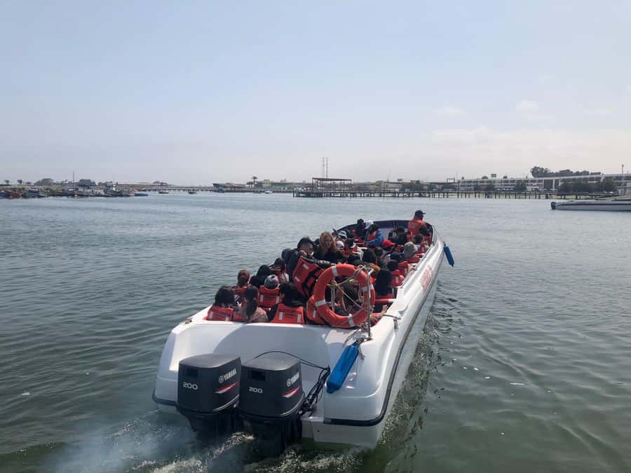 From Lima: Day Trip to Paracas, Ica & Oasis Huacachina - Why this Lima day trip packs so much into one day